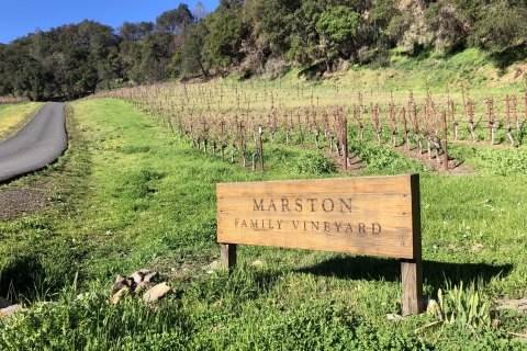 Marston Vineyard Tour