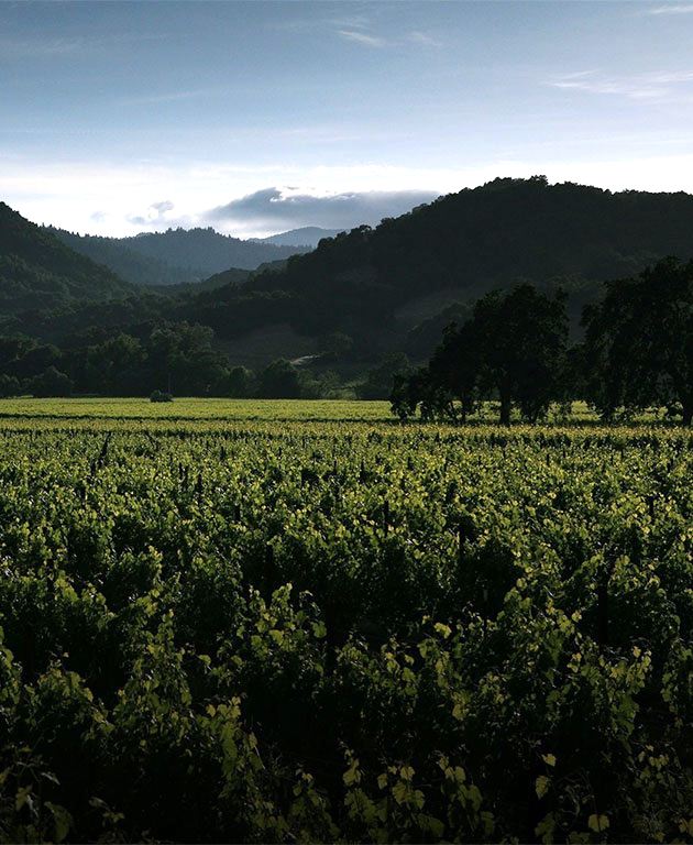 Alpha Omega Winery Solar & Sustainability