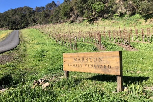 ERA Elite Exclusive Marston Vineyard Tour and Lunch