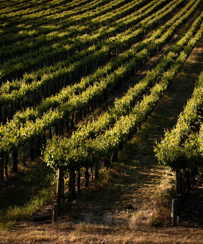 3-Beckstoffer-Georges-III