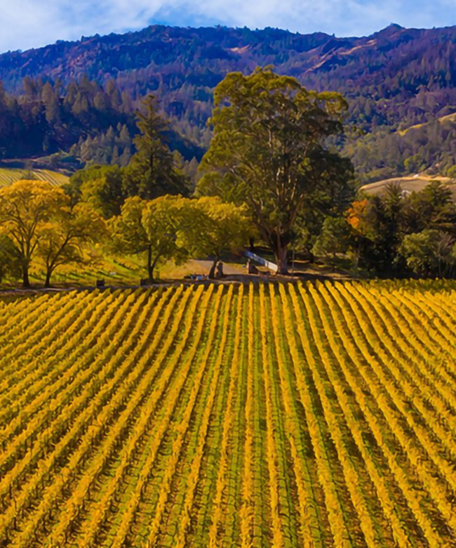 4-Beckstoffer-Missouri-Hopper