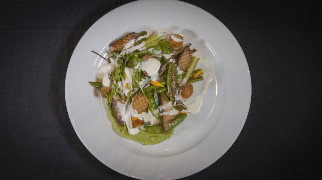 King Trumpet Mushrooms